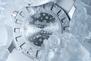 EXPEDITION NORTH POLE FROST NH34-595A773